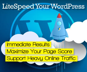 Core Web Vitals: Improve you Page Score and UX with LiteSpeed Cache